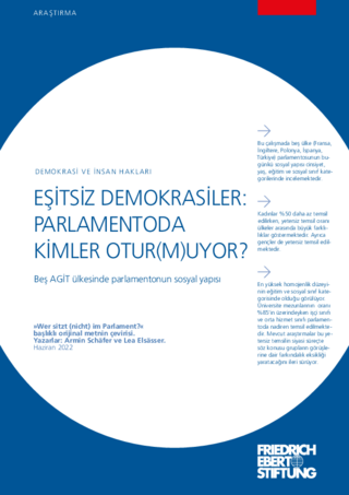 Eşitsiz demokrasiler: Parlamentoda kimler otur(m)uyor?