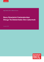 Barış süreçlerini canlandırırken dünya tecrübelerinden ders çıkarmak